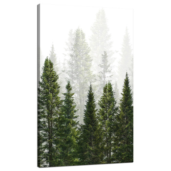 Leinwandgemälde Regenwald Natur Bäume 70x120 cm
