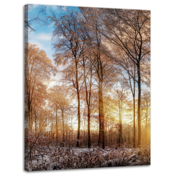 Leinwandgemälde Bäume Winter aufgehende Sonne 30x40 cm