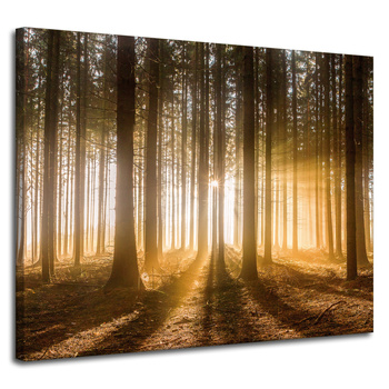 Leinwandgemälde Sonne im Wald Baumlicht 100x80 cm