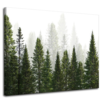 Leinwandgemälde Regenwald Natur Bäume 100x80 cm