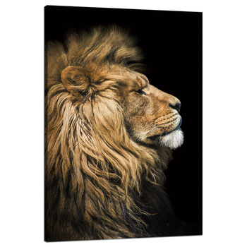 Leinwandgemälde Löwenporträt seitlich Wildheit Natur 80x120 cm