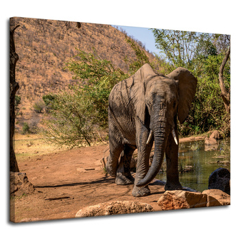 Leinwanddruck Elefant Afrika Wasser Schlamm Sonne 100x80 cm