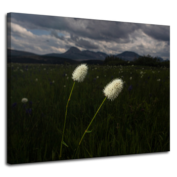 Leinwandgemälde Natur Feldblumen 100x80 cm