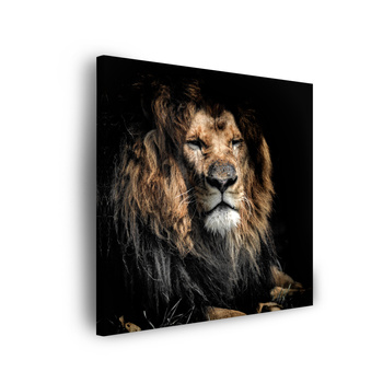 Leinwandgemälde Erwachsener Löwe 90x90