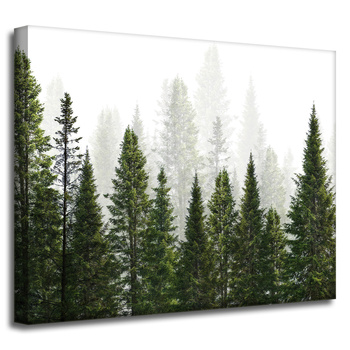 Leinwandgemälde Regenwald Natur Bäume 50x40 cm