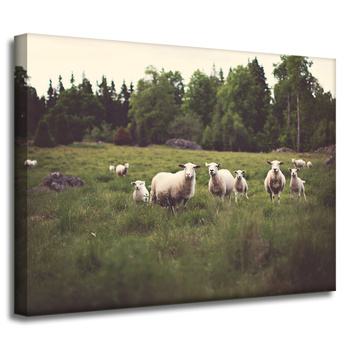 Leinwandgemälde Natur Schafe auf der Weide 40x30 cm