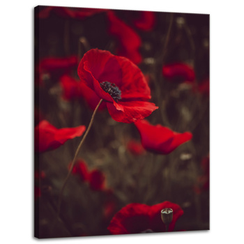 Leinwandgemälde Botanik Rote Mohnblumen 30x40 cm