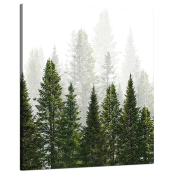 Leinwandgemälde Regenwald Natur Bäume 80x100 cm