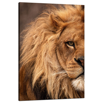 Leinwandgemälde Gesicht Mähne und Auge eines Löwen Natur 80x120 cm