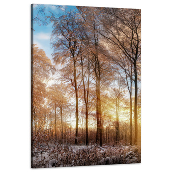 Leinwandgemälde Bäume Winter aufgehende Sonne 60x90 cm