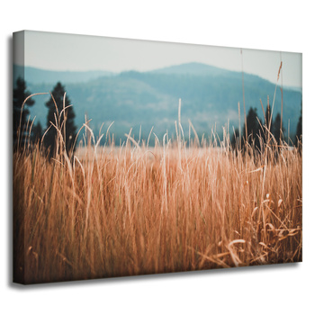 Leinwandgemälde Natur Grashalme 40x30 cm