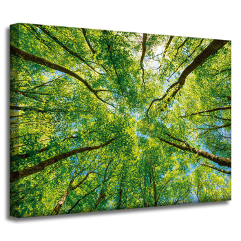 Leinwandgemälde Bäume Blätter Natur Wald Frühling 40x30 cm