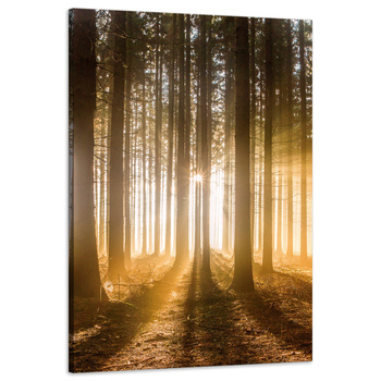 Leinwandgemälde Sonne im Wald Baumlicht 60x90 cm