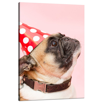 Leinwanddruck Jugend Mops Geburtstag 80x120