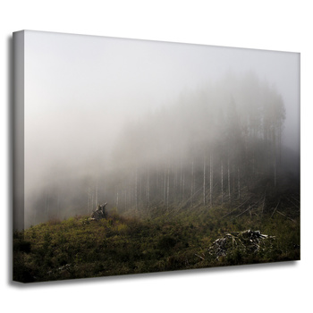 Leinwandgemälde Naturnebel_2 40x30 cm