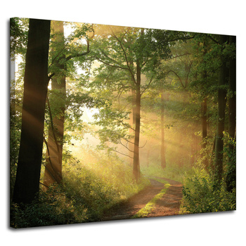 Leinwandgemälde Sonnenlicht Waldweg Natur 100x80 cm