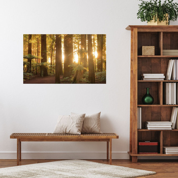Leinwandgemälde Sonnenstrahlen Waldbäume 120x70 cm