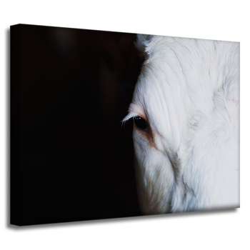 Leinwandgemälde Tiere Auge 40x30 cm