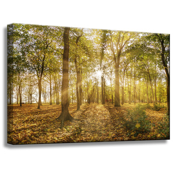 Leinwandgemälde Sonne zwischen Bäumen im Wald 60x40 cm