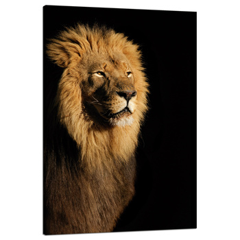Leinwandgemälde Beleuchtete Löwenschönheitsmähne 80x120 cm