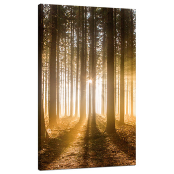 Leinwandgemälde Sonne im Wald Baumlicht 70x120 cm