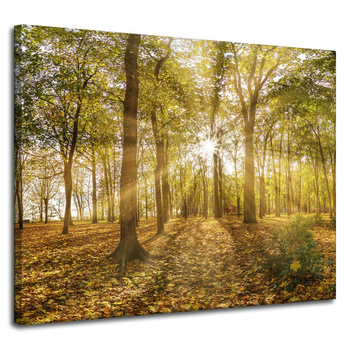 Leinwandgemälde Sonne zwischen Bäumen im Wald 100x80 cm