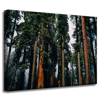 Leinwandgemälde Naturwald 40x30 cm