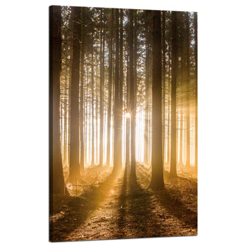 Leinwandgemälde Sonne im Wald Baumlicht 50x80 cm