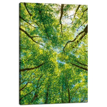 Leinwandgemälde Bäume Blätter Natur Wald Frühling 40x60 cm