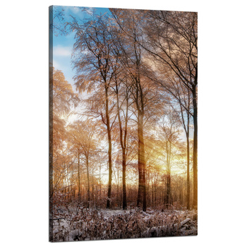 Leinwandgemälde Bäume Winter aufgehende Sonne 50x80 cm