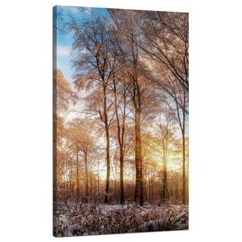 Leinwandgemälde Bäume Winter aufgehende Sonne 70x120 cm