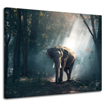 Leinwanddruck Tiere Elefant 100x80 cm
