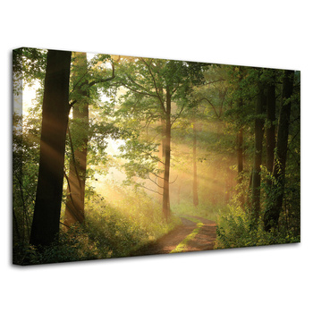 Leinwandgemälde Sonnenlicht Waldweg Natur 80x50 cm