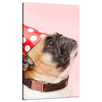 Leinwanddruck Jugend Mops Geburtstag 70x120