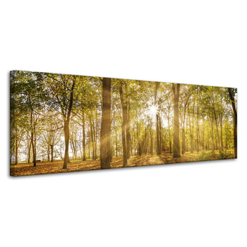 Leinwandgemälde Sonne zwischen Bäumen im Wald 120x40 cm