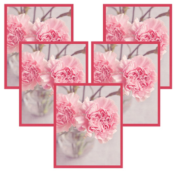 5x Amarant-Rahmen 24x30, I L13,15,056, Plexiglas