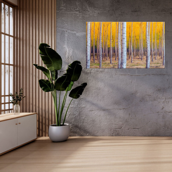 Leinwandgemälde Birken in herbstlichen gelben Blättern 120x70 cm