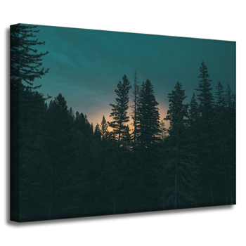 Leinwandgemälde Naturwald in der Abenddämmerung 40x30 cm