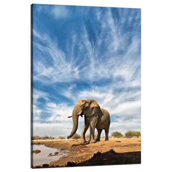 Leinwandgemälde Großer Elefant im Savannah Sand 80x120 cm