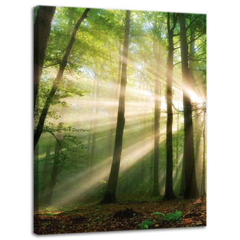 Leinwandgemälde Sonne im Wald Bäume Natur 30x40 cm