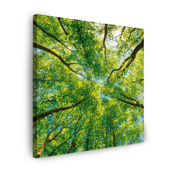 Leinwandgemälde Bäume Blätter Natur Wald Frühling 40X40 cm
