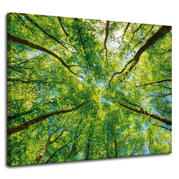 Leinwandgemälde Bäume Blätter Natur Wald Frühling 100x80 cm