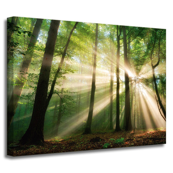 Leinwandgemälde Sonne im Wald Bäume Natur 40x30 cm