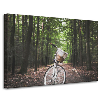 Leinwanddruck Jugendfahrrad im Wald 90x60