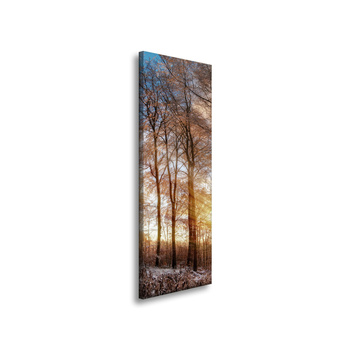 Leinwandgemälde Bäume Winter aufgehende Sonne 40x120 cm
