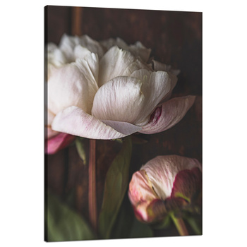 Leinwandgemälde Weiße Blume Natur Vintage Retro 80x120