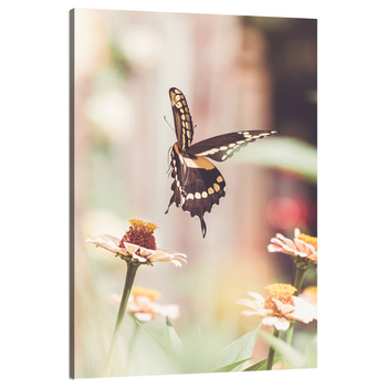 Leinwandgemälde Natur Insekt Schmetterling Blumen Frühling Sommer 80x120