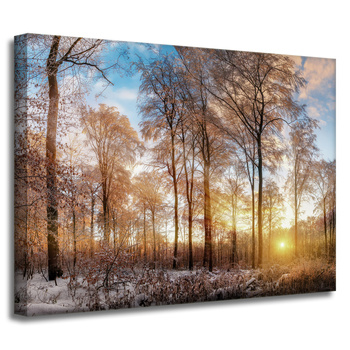 Leinwandgemälde Bäume Winter aufgehende Sonne 40x30 cm
