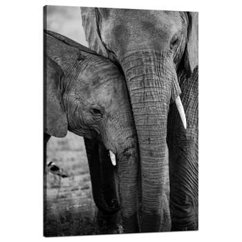 Leinwandgemälde Schwarz-Weiß-Elefantenpaar Natur 80x120 cm