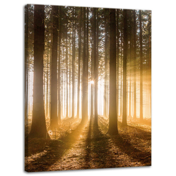 Leinwandgemälde Sonne im Wald Baumlicht 30x40 cm